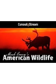 Mark Emery's American Wildlife