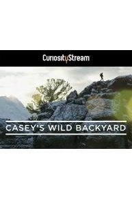 Casey's Wild Backyard
