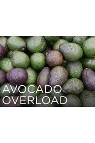 Avocado Overload