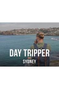 Day Tripper