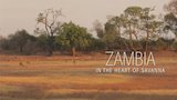 Zambia