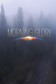 Morning Glory