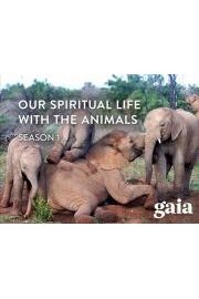 Our Spiritual Life with the Animals