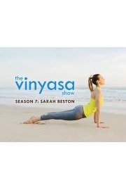 The Vinyasa Show