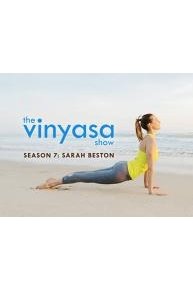 The Vinyasa Show