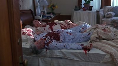 Law & Order Season 5 Episode 18