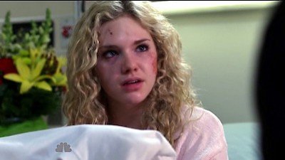 Law & Order Season 19 Episode 13