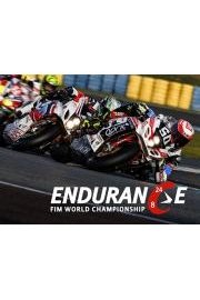 FIM Endurance World Championship