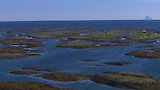 The Coast