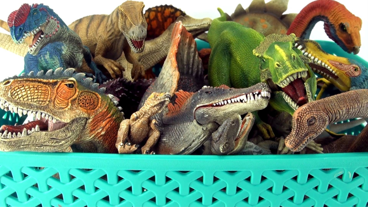 The Dinosaur Collection
