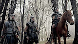 In Search of an Heir