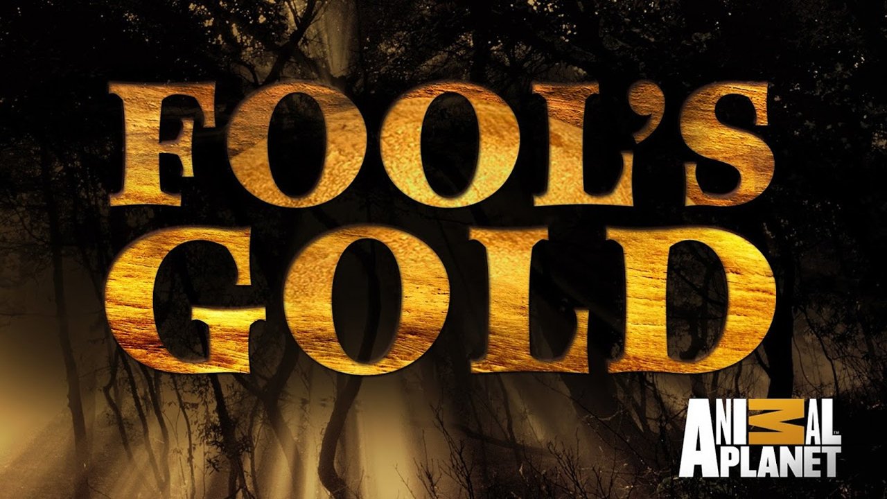 Fool's Gold