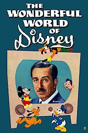 The Wonderful World of Disney