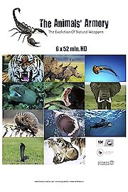Animal Armory