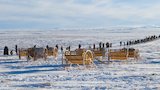 The Willie and Martin Handcart Story