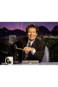 The Larry Sanders Show Starring Garry Shandling