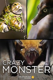 Crazy Monster