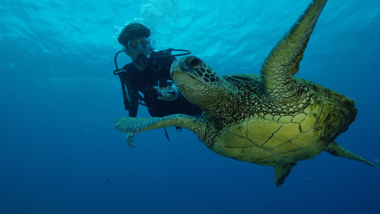 Sea of Hope: America's Underwater Treasures
