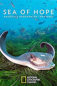 Sea of Hope: America's Underwater Treasures