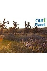 Our1Planet