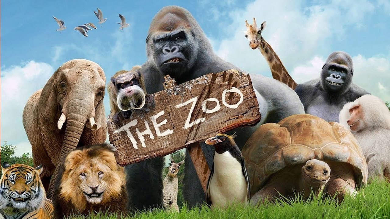 The Zoo