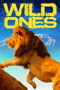 Wild Ones