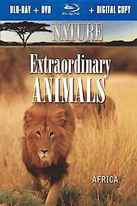 Extraordinary Animals