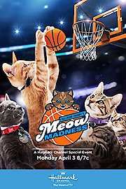 Meow Madness
