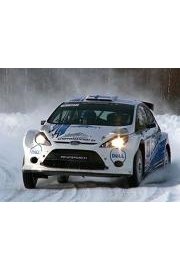 International Rallies