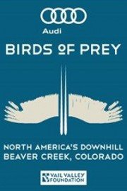 Audi Birds of Prey