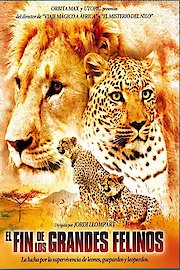 The End Of The Big Cats