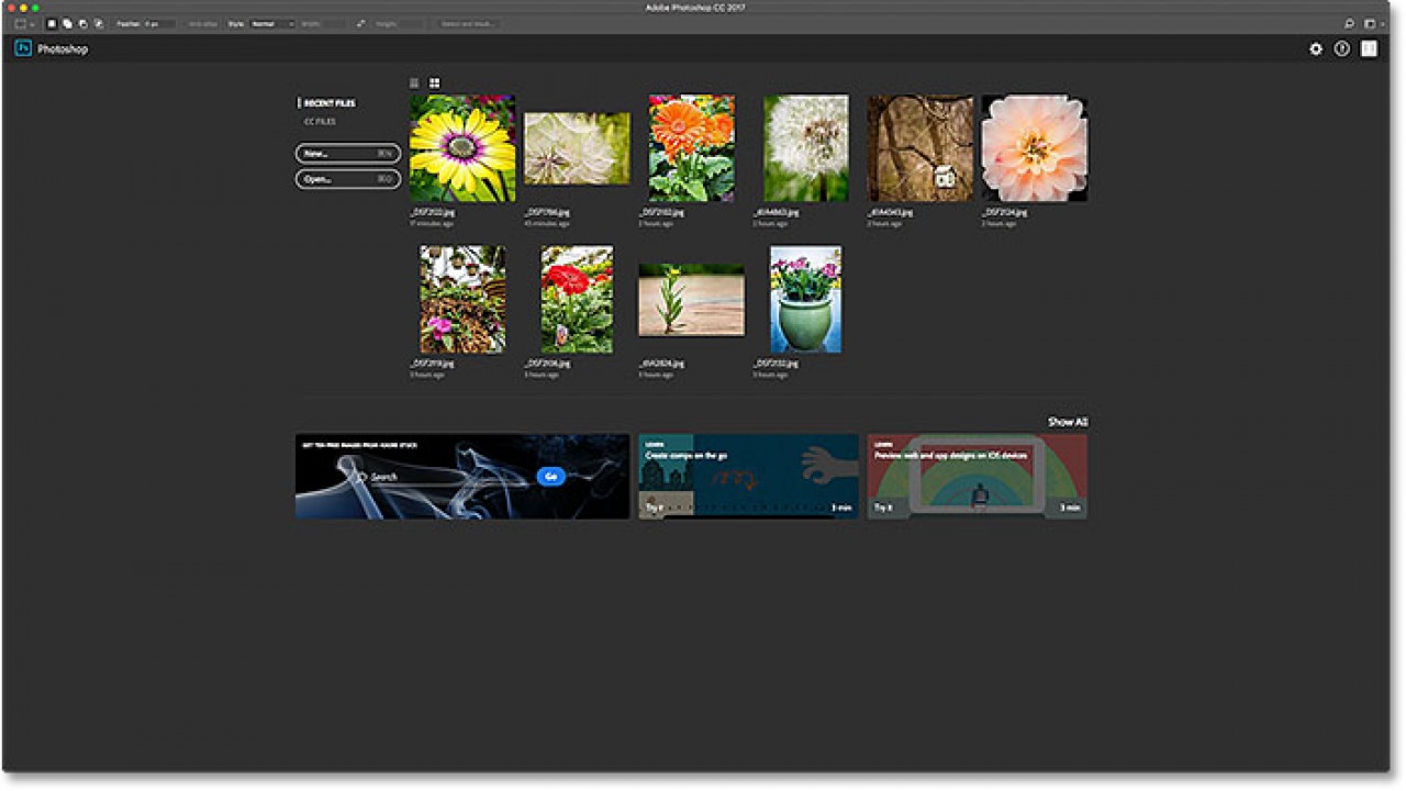 Photoshop CC Essentials