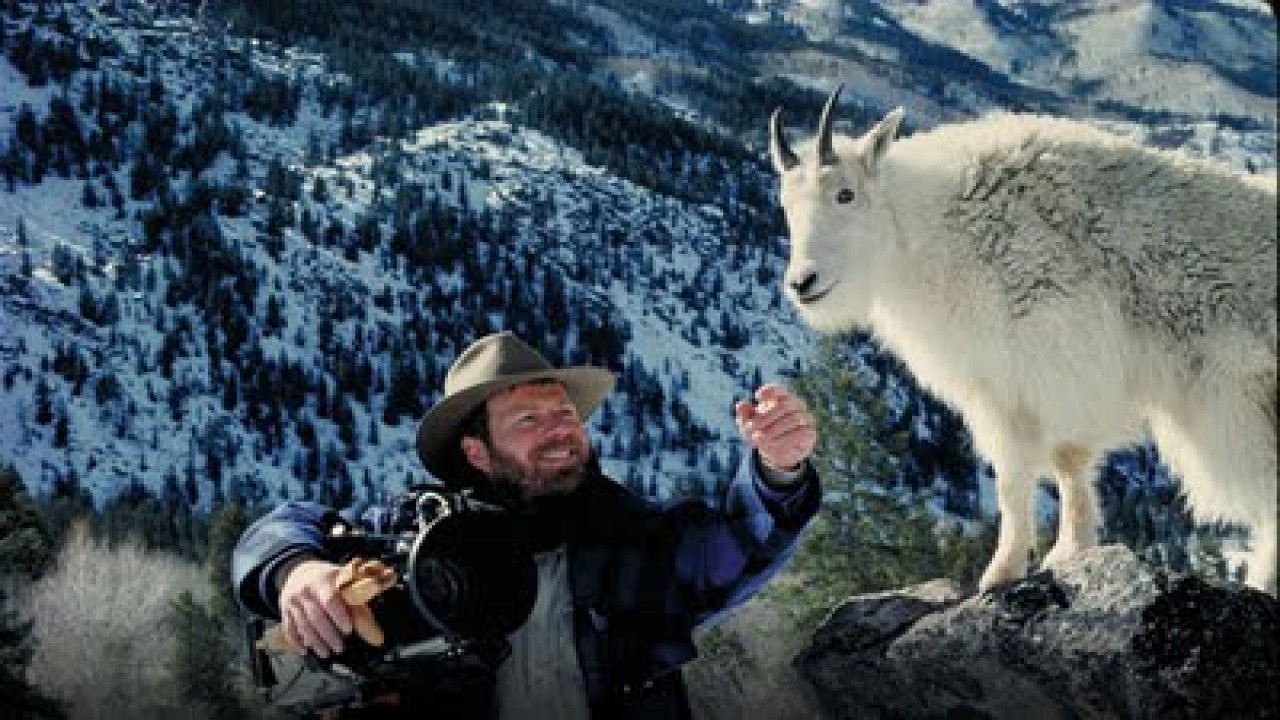 Wild America