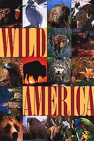 Wild America