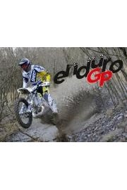 FIM Enduro World Championship
