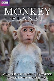 Monkey Planet