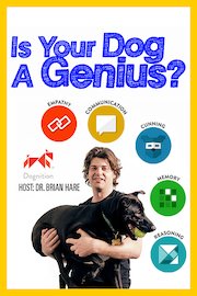 Is Your Dog a Genius?