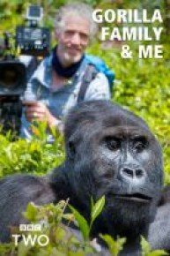 The Gorilla Family and Me