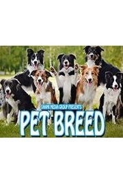 Pet Breed