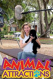 Animal Attractions TV
