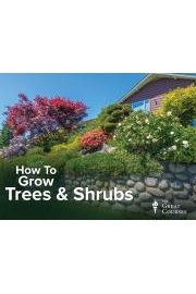 How to Grow Anything: Make Your Trees and Shrubs Thrive