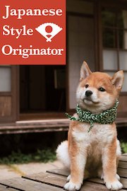 Japanese Style Coordinator