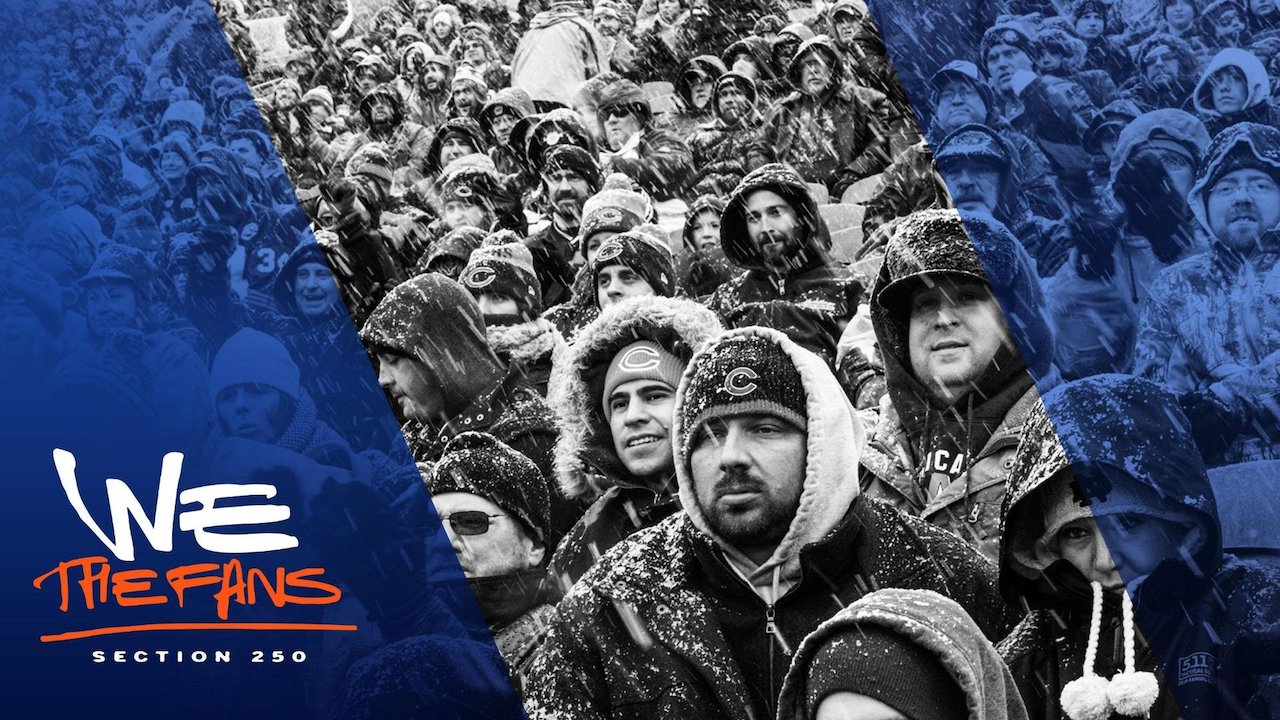 We the Fans: Section 250 of Soldier Field