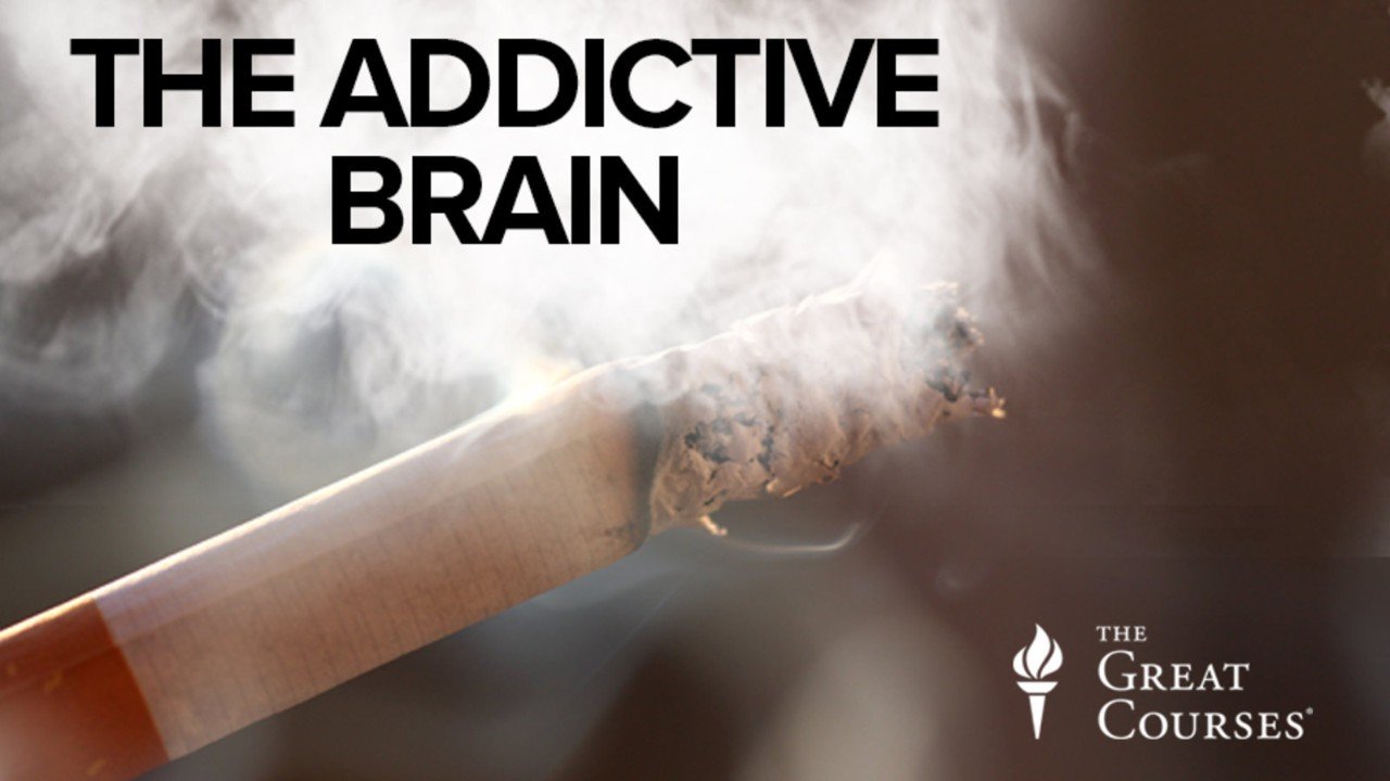 The Addictive Brain