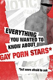 Everything You Wanted to Know About Gay Porn Stars but Were Afraid to Ask