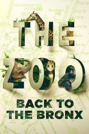 The Zoo: Back to the Bronx