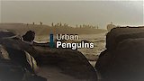 Urban Penguins