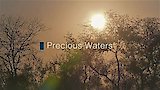 Precious Waters