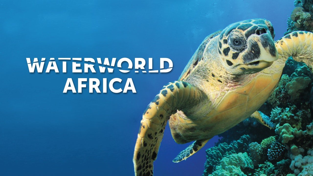 Waterworld Africa