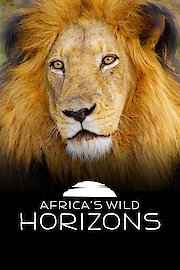 Africa's Wild Horizons